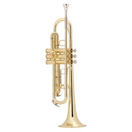 Kèn Trumpet Conn & Selmer King 601